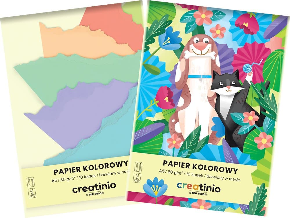 PAPIER KOLOROWY CREATINIO A5