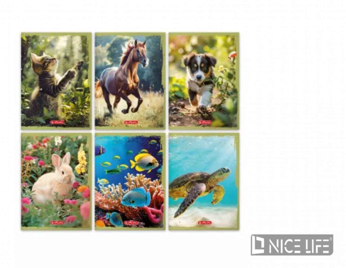 Zeszyt A5/32K HER ANIMALS LINIA