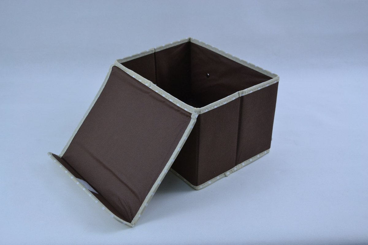 Organizer