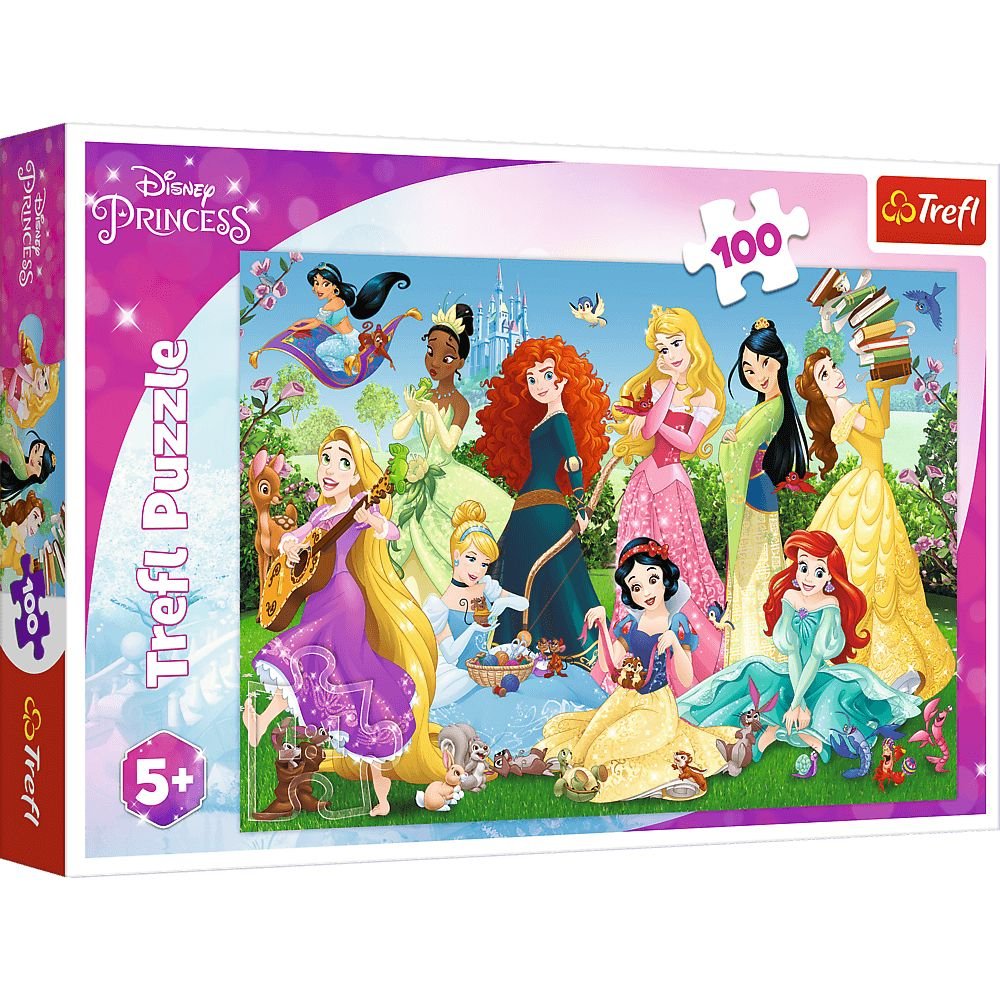 PUZZLE 100 CZARUJACE KSIĘŻNICZKI