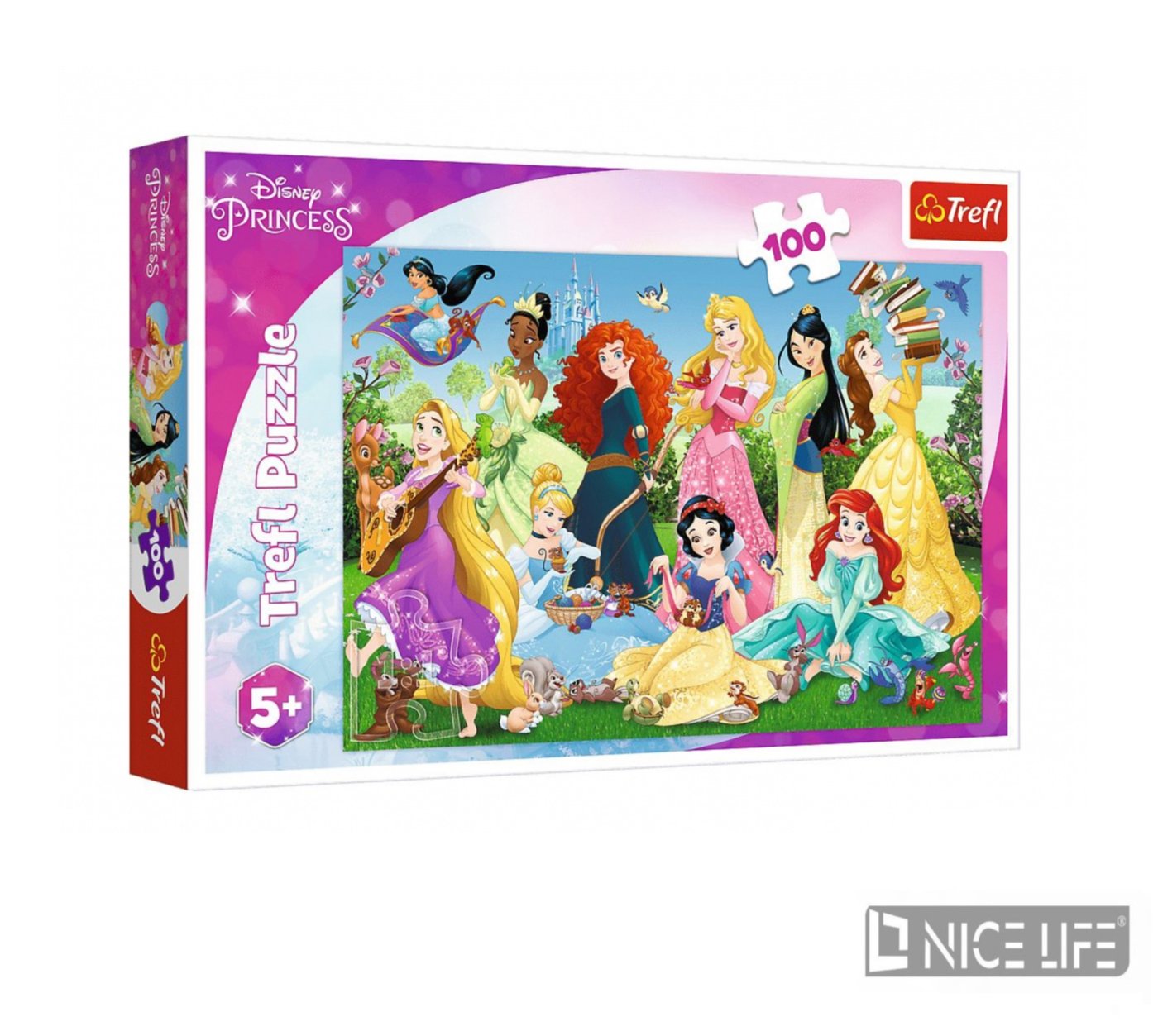 PUZZLE 100 CZARUJACE KSIĘŻNICZKI