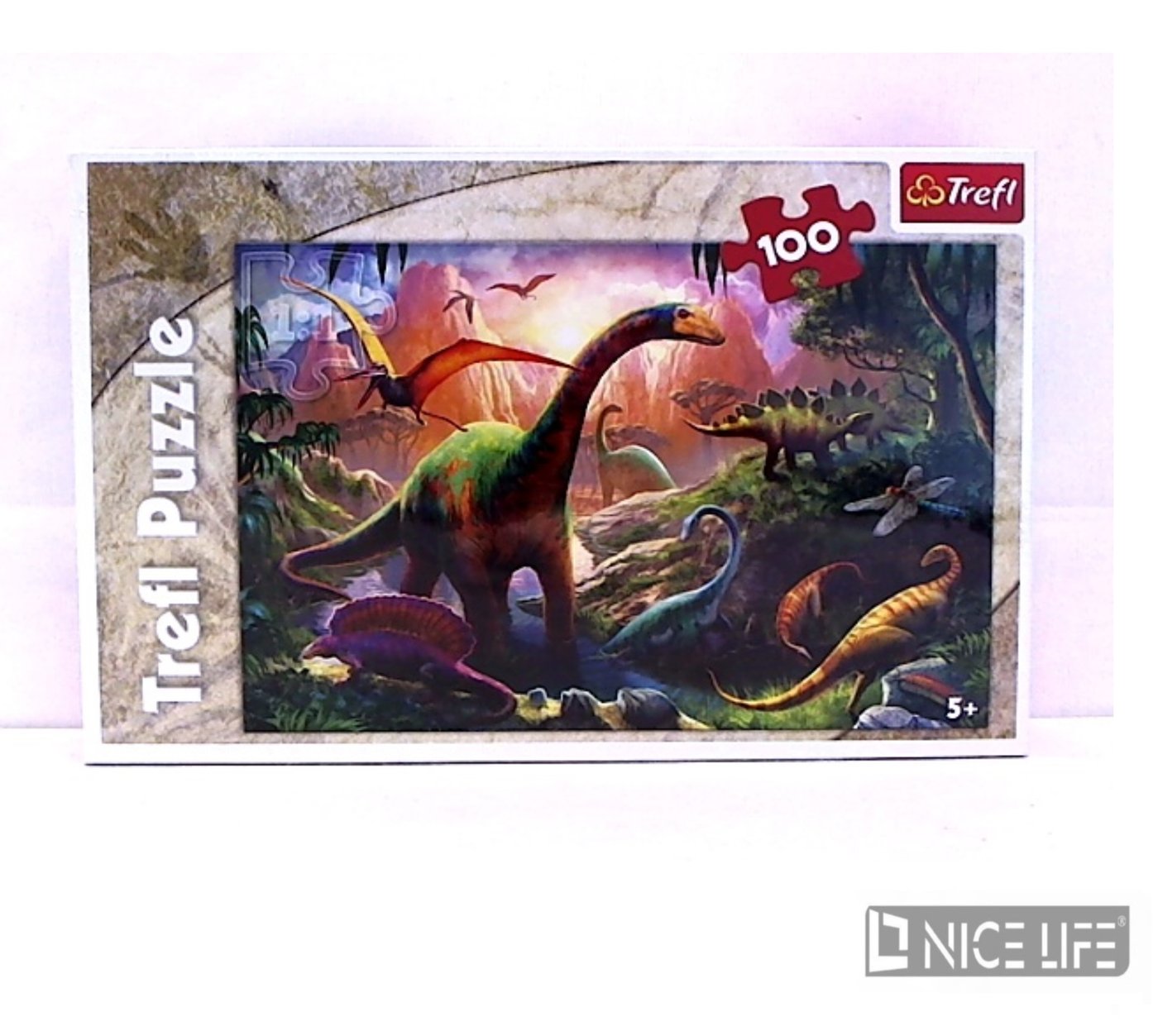 PUZZLE DINOZAURY 100