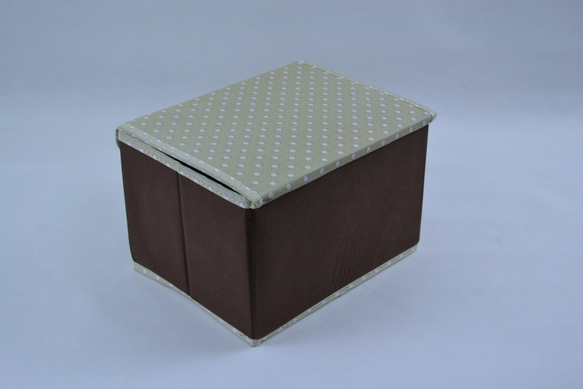 Organizer