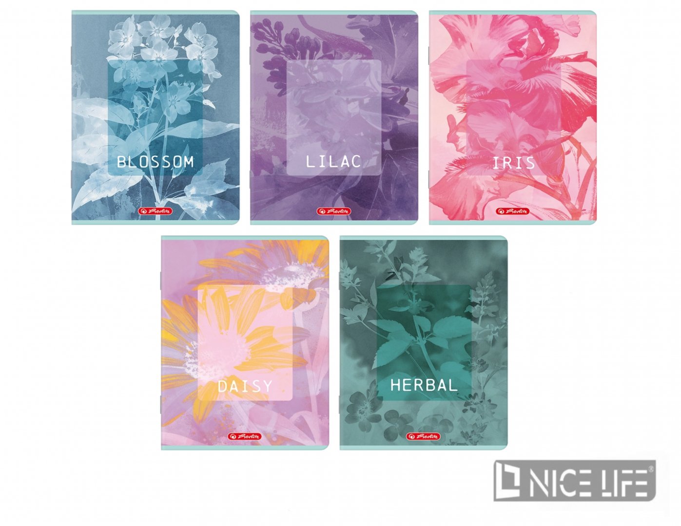 ZESZYT HERLITZ STANDARD BLOSSOM A5/60K LINIA Z MARGINESEM