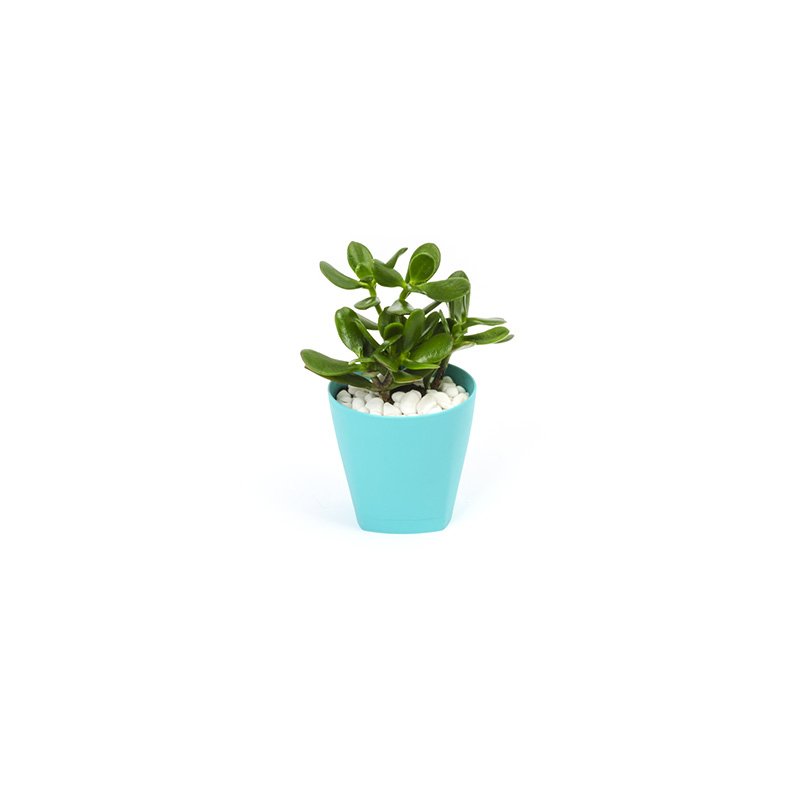 Doniczka Urban Fi 11/0.65L